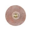 Bog Oak Organic Ceramic Disc Wall Light, Red Iron Ceramic Wall Sconces Great Lighting UK Ltd