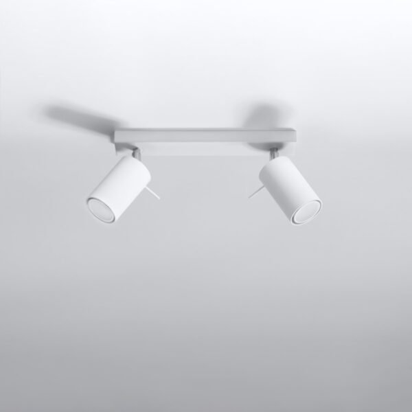 Ceiling Lamp Ring 2 White Track Lights Modern Designer Lights