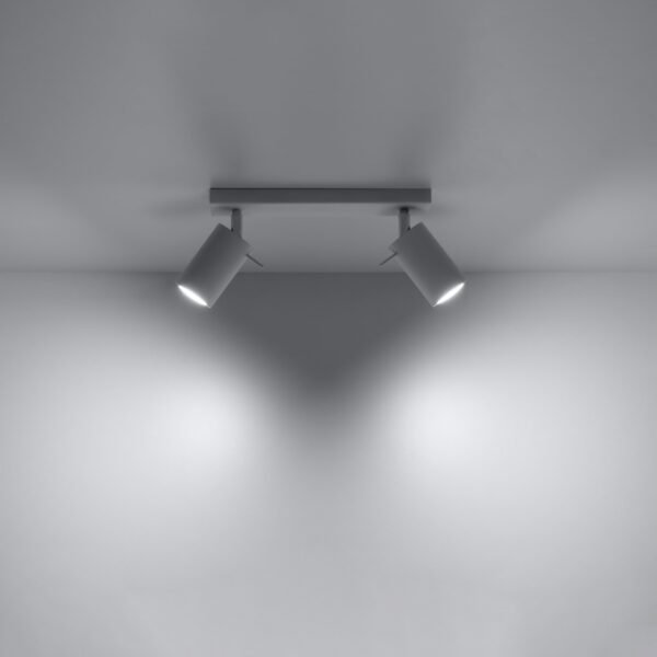 Ceiling Lamp Ring 2 White Track Lights Modern Designer Lights