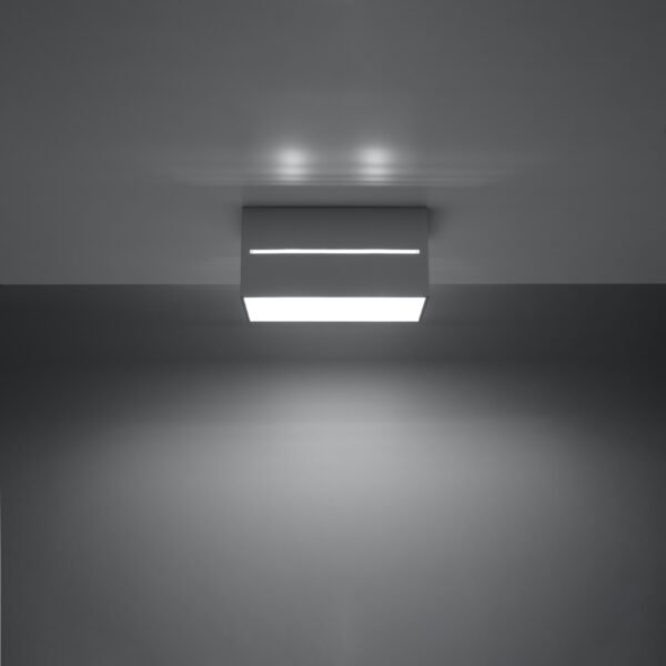 Ceiling Lamp Lobo 2 Grey - Image 3