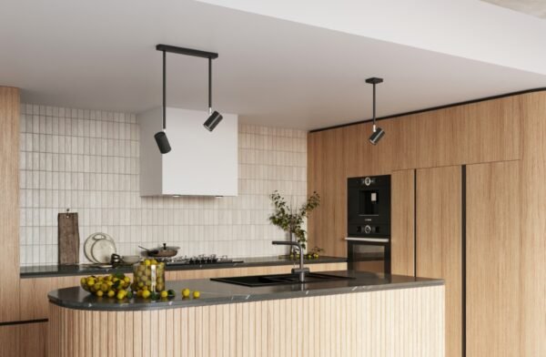 Ceiling Lamp Norano Black Single Ceiling Lights Modern Designer Lights