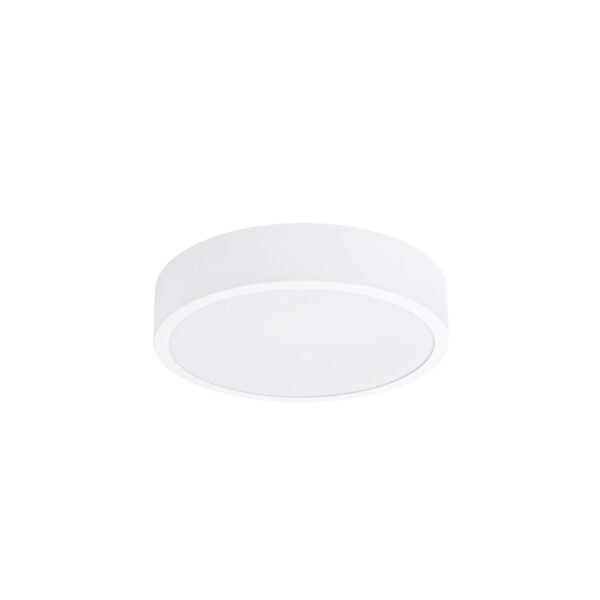 Ceiling Lamp Onyx 30 White Led 3000k