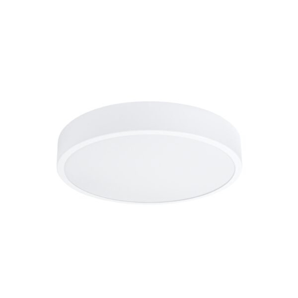 Ceiling Lamp Onyx 40 White Led 3000k