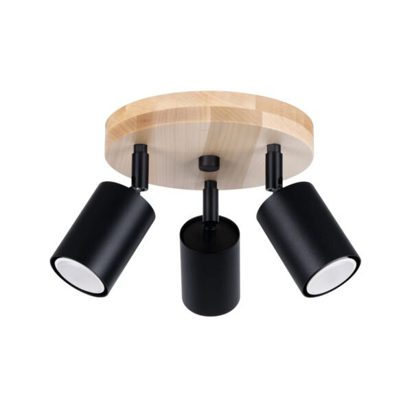 Ceiling Lamp Verdo 3p Black
