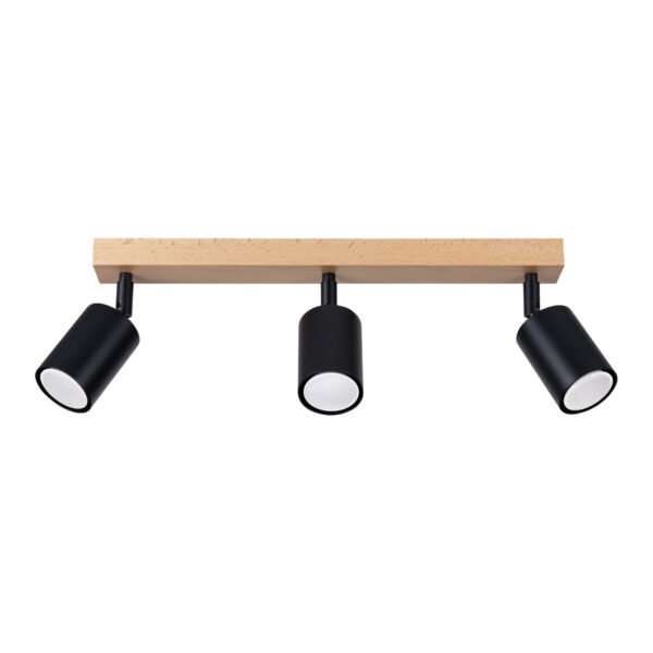 Ceiling Lamp Verdo 3l Black