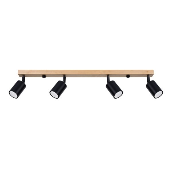 Ceiling Lamp Verdo 4 Black