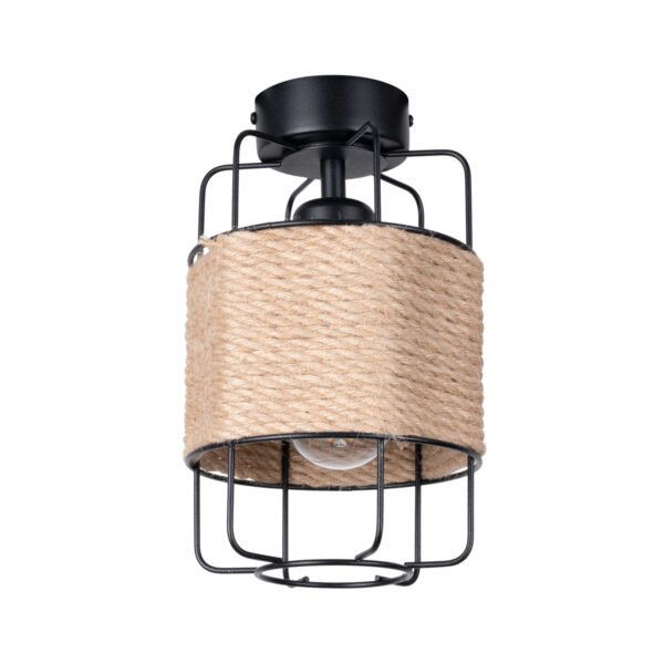 Ceiling Lamp Gizur