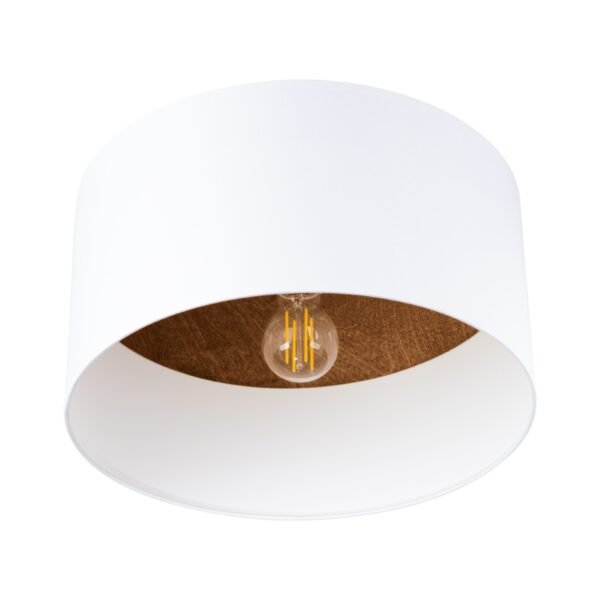Ceiling Lamp Telesto White/dark Brown