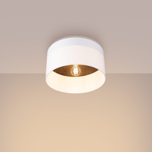 Ceiling Lamp Telesto White/dark Brown - Image 3