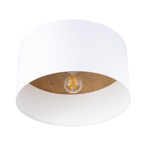 Ceiling Lamp Telesto White/light Brown